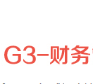 G3财务管理系统